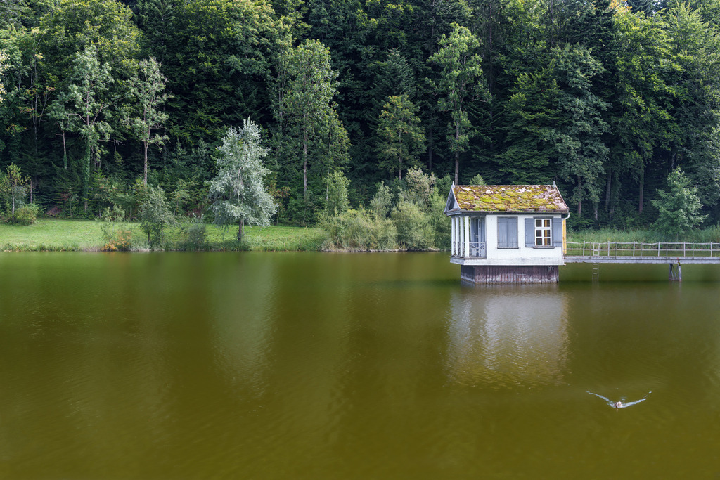 2022_09_07 A7403789 | bridgeman - Realisiert mit Pictrs.com