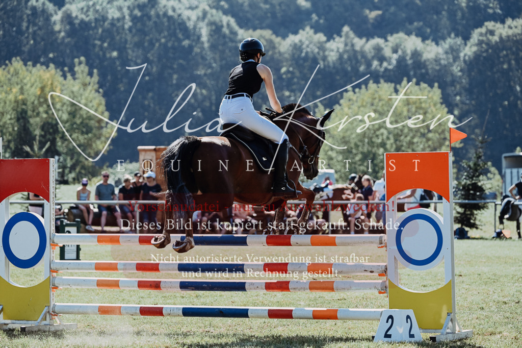 DSC_5753 | Pferde- und Turnierfotografie in Westsachsen. Pferdeportraits, Auftragszeichnungen und intuitive Kunst.