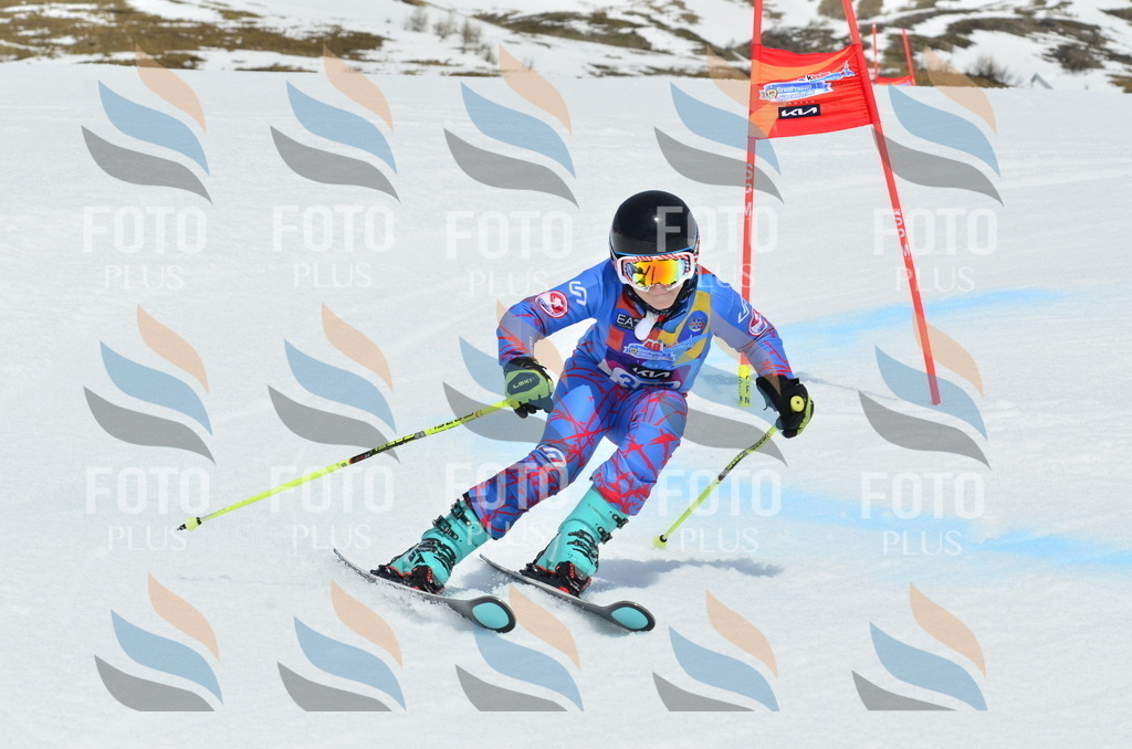 _ELE2787 | holidayphoto