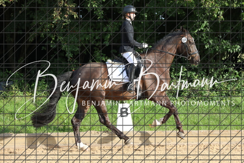 AZ2A1579 | Benjamin Bartmann Photomoments