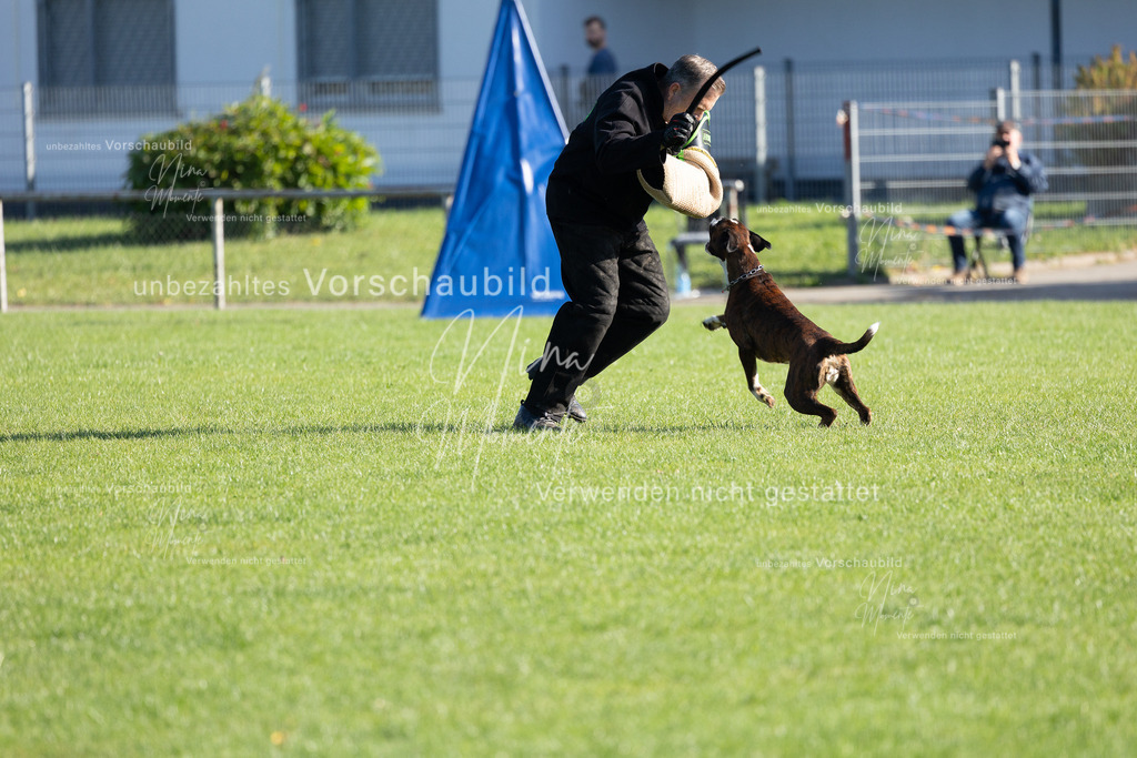 _16A5140 | Einzigartige Fotos von Hunden & Menschen –Actionfotos, Portraits, Vereinsaufnahmen & Paarshootings – authentisch, lebendig & mit Herz.