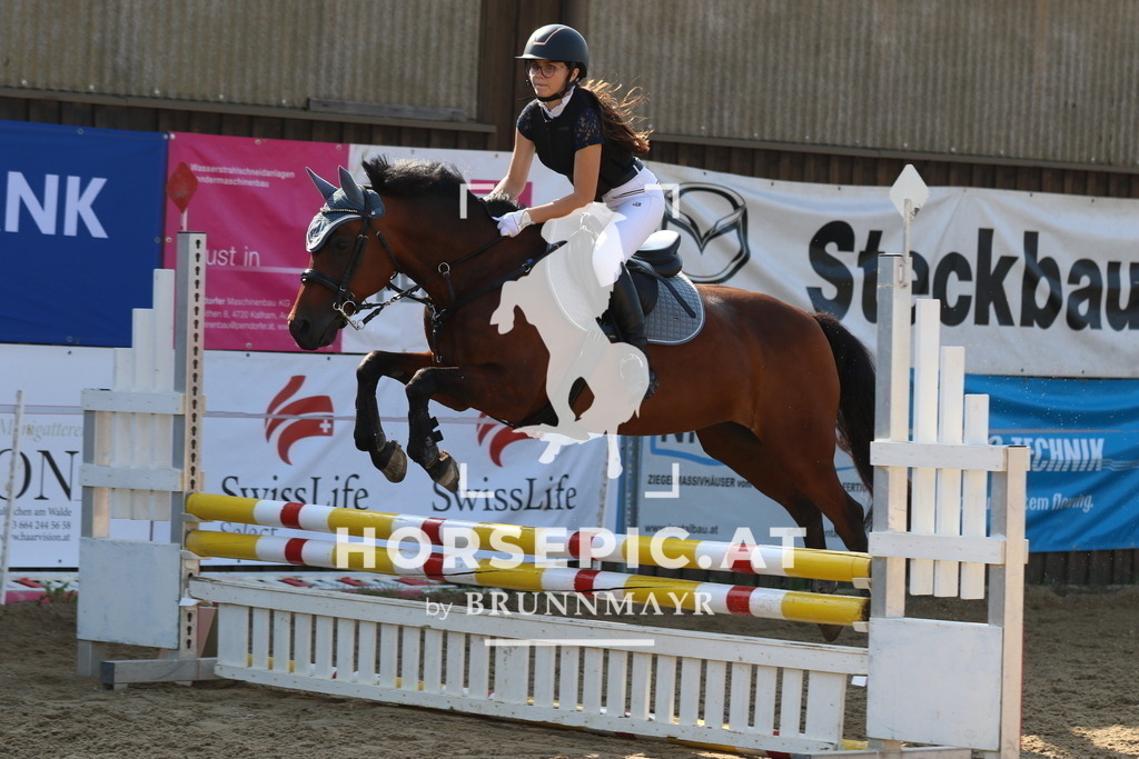 7V2A2678 | Willkommen bei Brunnmayr - Design & Fotografie – Ihrem Spezialisten für Reitturniere und Pferdeveranstaltungen in Oberösterreich, Salzburg und Bayern! Seit über 17 Jahren sind wir leidenschaftlich dabei.