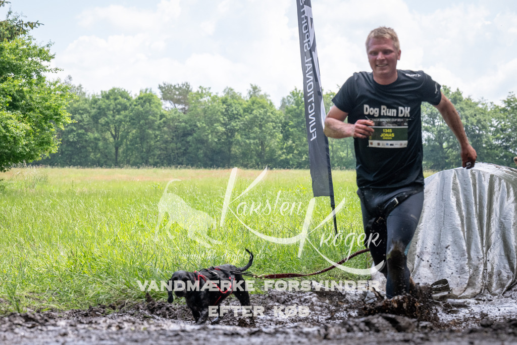 1137_ZZ93346 | kk-dogfotos