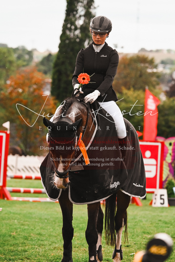 DSC_6223 | Pferde- und Turnierfotografie in Westsachsen. Pferdeportraits, Auftragszeichnungen und intuitive Kunst.