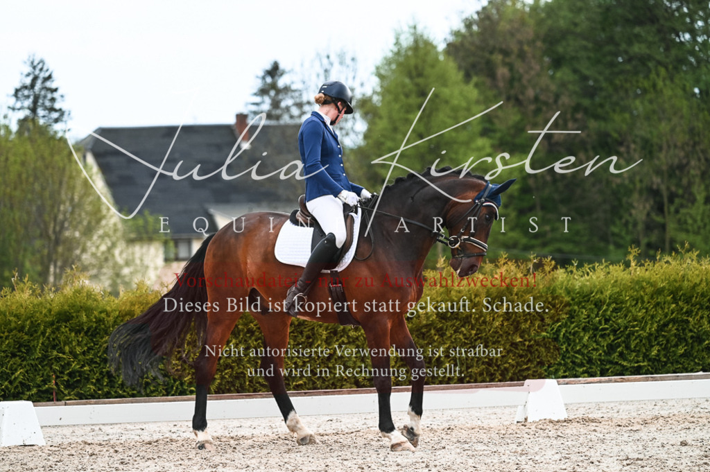 20230513_JK-Röhrsdorf-11-313 | Pferde- und Turnierfotografie in Westsachsen. Pferdeportraits, Auftragszeichnungen und intuitive Kunst.