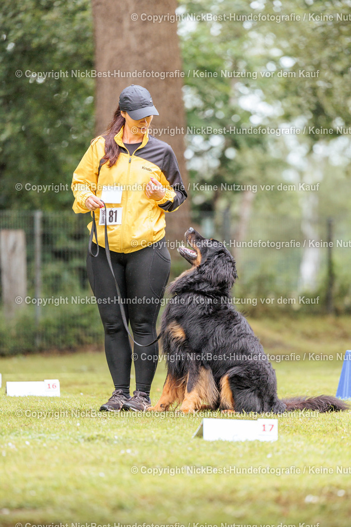 RO-Blumenthal-2026-Nickbest-Hundefotografie-4142 | Dein Hund! Dein Moment! Deine Erinnerungen! Hundefotografie in Bremen Blumenthal. Ich fange die besonderen Momente deines Vierbeiners ein – ob Indoor mit Blitzanlage oder in der freien Natur. Sicher dir dein Moment und dein Termin für eure Erinnerungen.