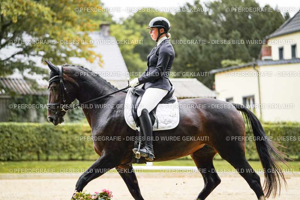 DSC06679 | Pferdegrafie