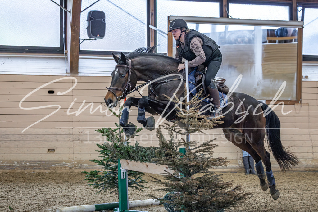 20260222-_3LI1585 | Tierfotografie Pferde, Hunde, Katzen, Haustiere.
Turnierfotografie Reitturniere, Reiten, Springreiten, Dressur in Hanau, dem Main-Kinzig-Kreis und dem Rhein-Main- Gebiet um Frankfurt