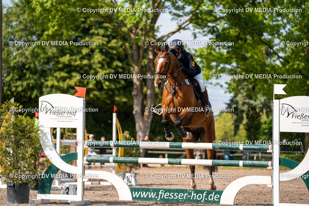 Eppelheim Tag 2-590 | dv-media-shop - Realisiert mit Pictrs.com