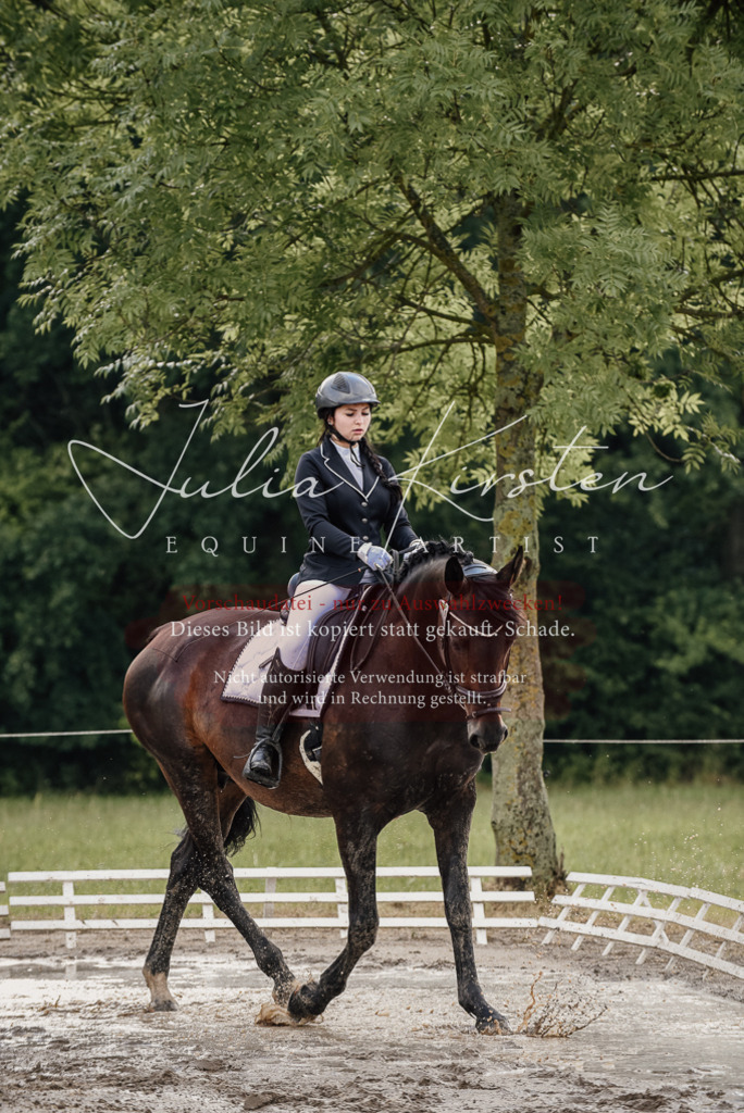 DSC_8570 | Pferde- und Turnierfotografie in Westsachsen. Pferdeportraits, Auftragszeichnungen und intuitive Kunst.