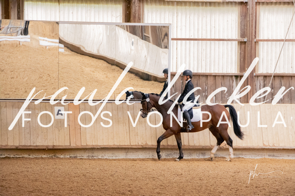 IMG_5056 | Erleben Sie dynamische Sport- und emotionale Tierfotografie in Süddeutschland mit Fotos von Paula. Spezialisiert auf Pferde- und Hundefotografie sowie Sportevents. Kontaktieren Sie mich für einzigartige und ausdrucksstarke Bilder Ihrer besonderen Momente. - Realisiert mit Pictrs.com