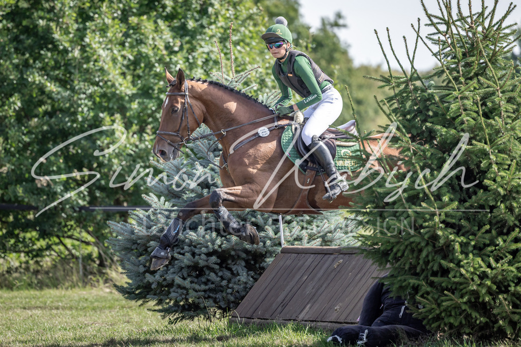 20250907-_3LI9902 | Tierfotografie Pferde, Hunde, Katzen, Haustiere.
Turnierfotografie Reitturniere, Reiten, Springreiten, Dressur in Hanau, dem Main-Kinzig-Kreis und dem Rhein-Main- Gebiet um Frankfurt