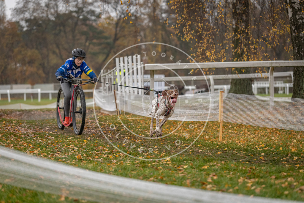 CaniXpix_DV3A7546 | Hundefotografie, Tierfotograf, Pfotenfotografie, Fotoshooting Hund, Hunde Portrait, Hundesport, Hundeportraits, Heideshooting, Hunde, Sportfotograf, Hundefotograf, Turnierhundsport, THS,  - Realisiert mit Pictrs.com