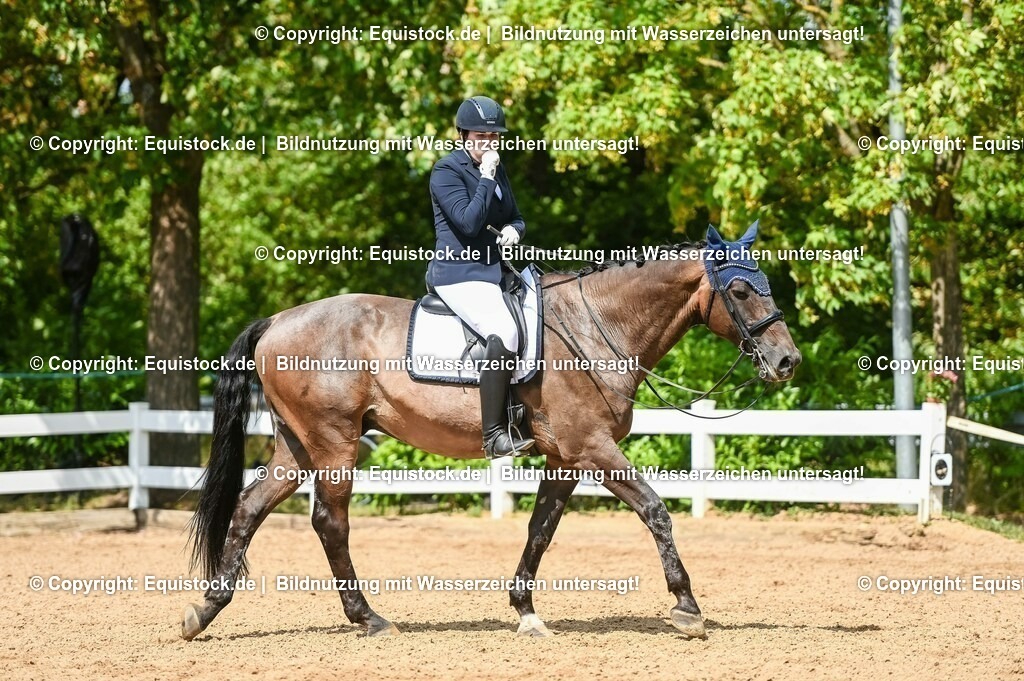 20230716_01_Dressurprüfung Kl.M_0312 | equistock