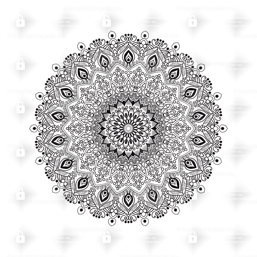 62Seite | fotografinelsa