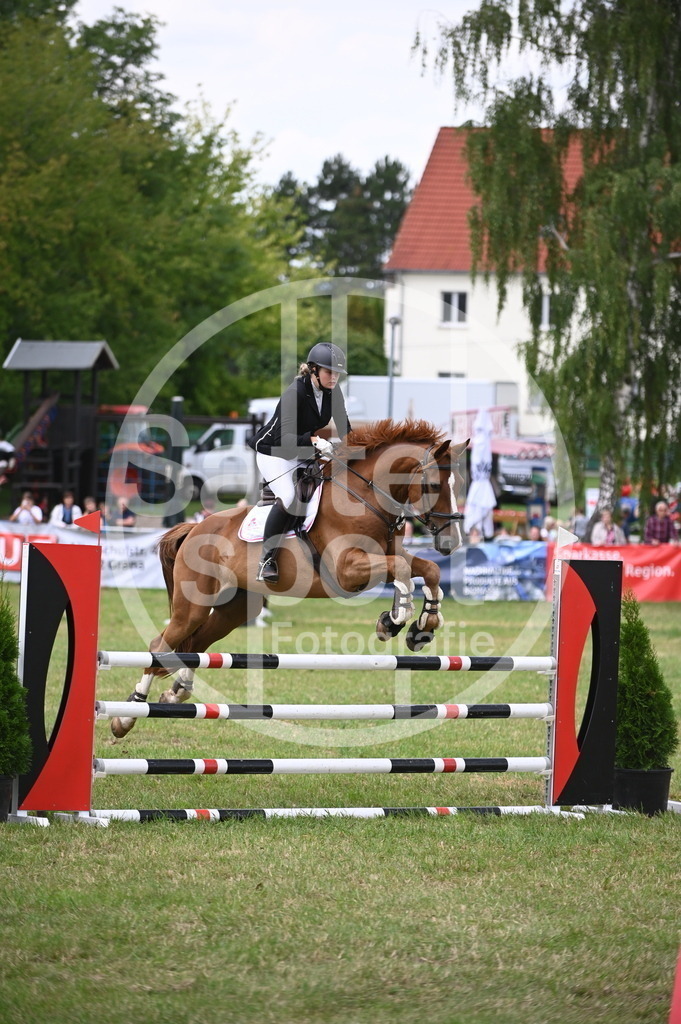 DSC_2563 | sattelsport - Realisiert mit Pictrs.com