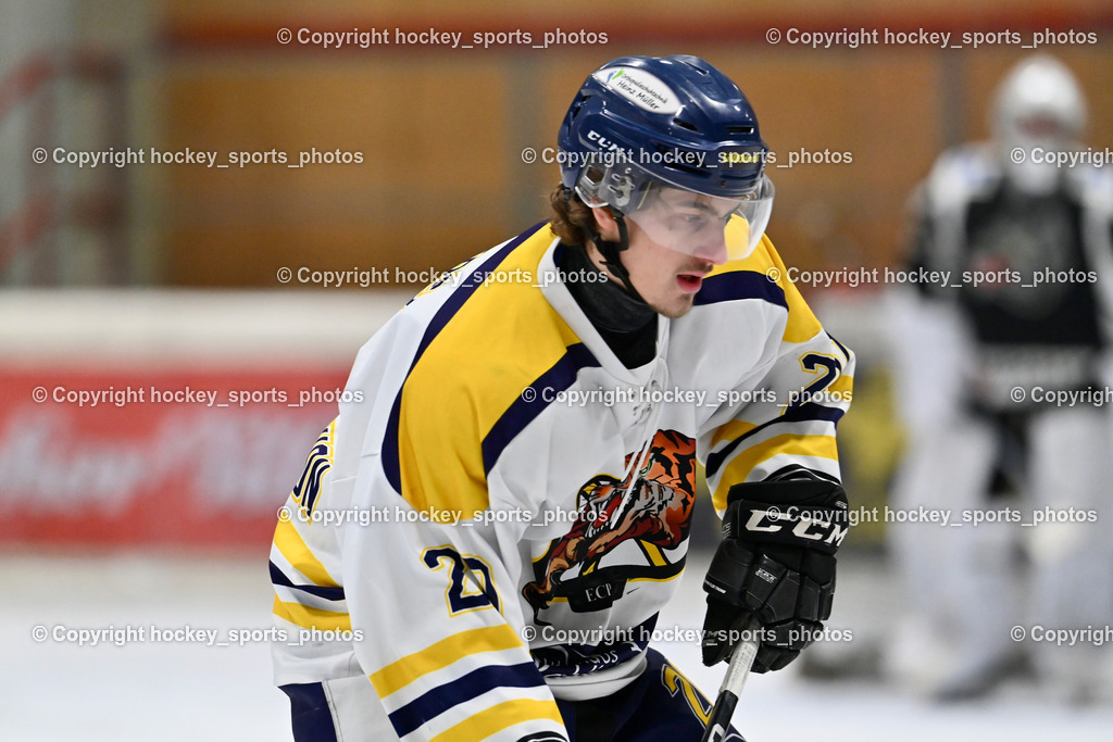 EC Tigers Paternion vs. Tarco Wölfe II | #20 Steiner Andra EC Tigers Paternion, EC Tigers Paternion vs. Tarco Wölfe II, EC Tigers Paternion vs. Tarco Wölfe II am 19.12.2024 in Spittal an der Drau (Eissportzentrum Spittal), Austria, (Photo by Bernd Stefan)