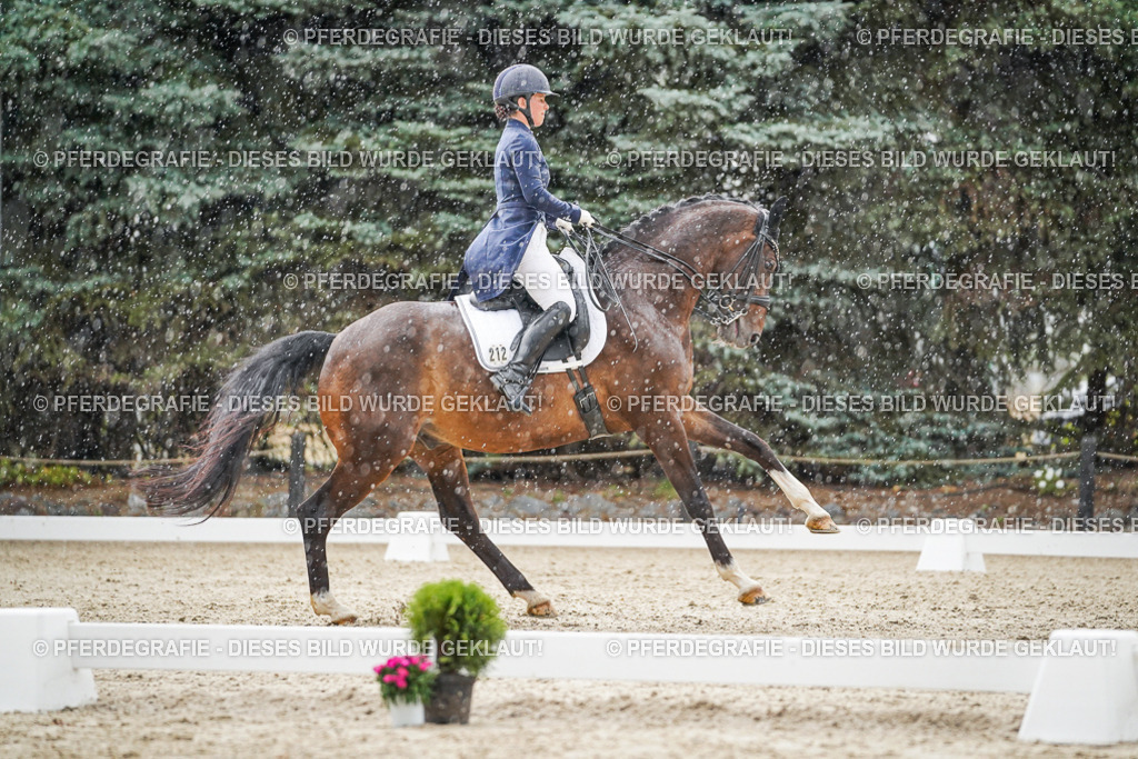 DSC08031 | Pferdegrafie