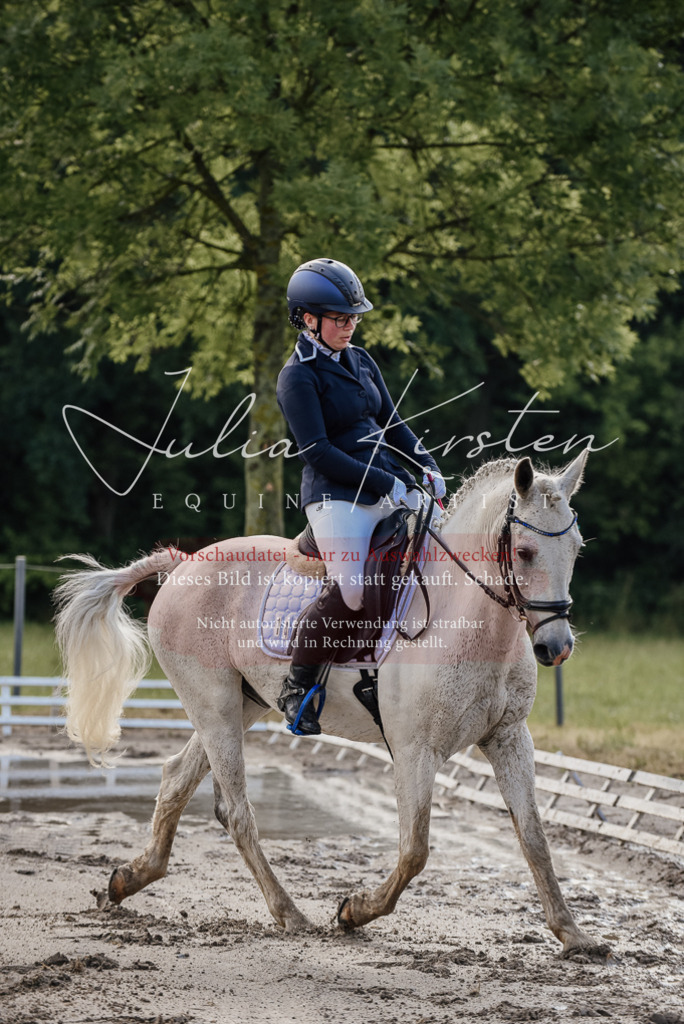 DSC_7956 | Pferde- und Turnierfotografie in Westsachsen. Pferdeportraits, Auftragszeichnungen und intuitive Kunst.