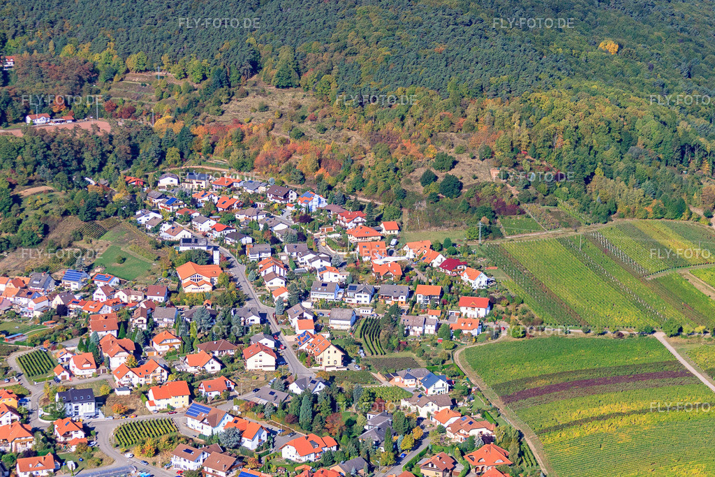 Im Dörnel | Luftbild: Im Dörnel im Ortsteil SaintMartin in Sankt Martin im Bundesland Rheinland-Pfalz in Deutschland. Foto: IMG_22135.jpg vom 15.10.2009 durch Werner Riehm/FLY-FOTO.de - Realisiert mit Pictrs.com