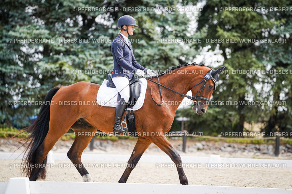 DSC00180 | Pferdegrafie