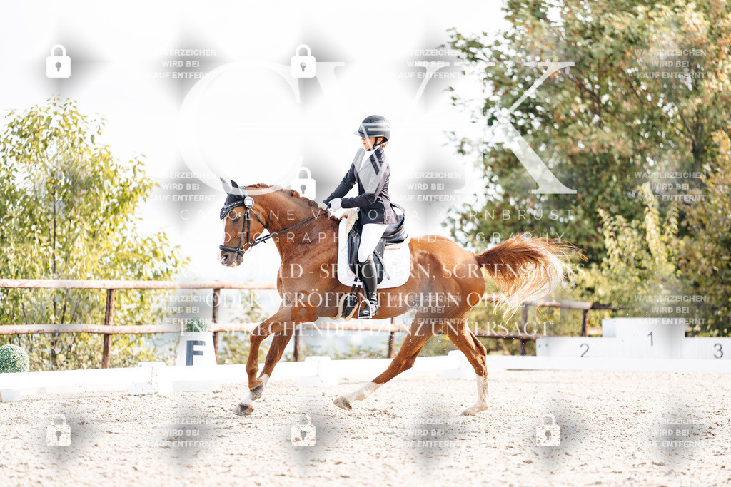 CK901368 | Turnierfotografie Pferdefotografie Trier Rheinland-Pfalz Pferdesport Reitsport Tierfotografie Sportfotografie Pferdevideo Pferdevideografie Equestrianvideography equestrianphotography  - Realisiert mit Pictrs.com