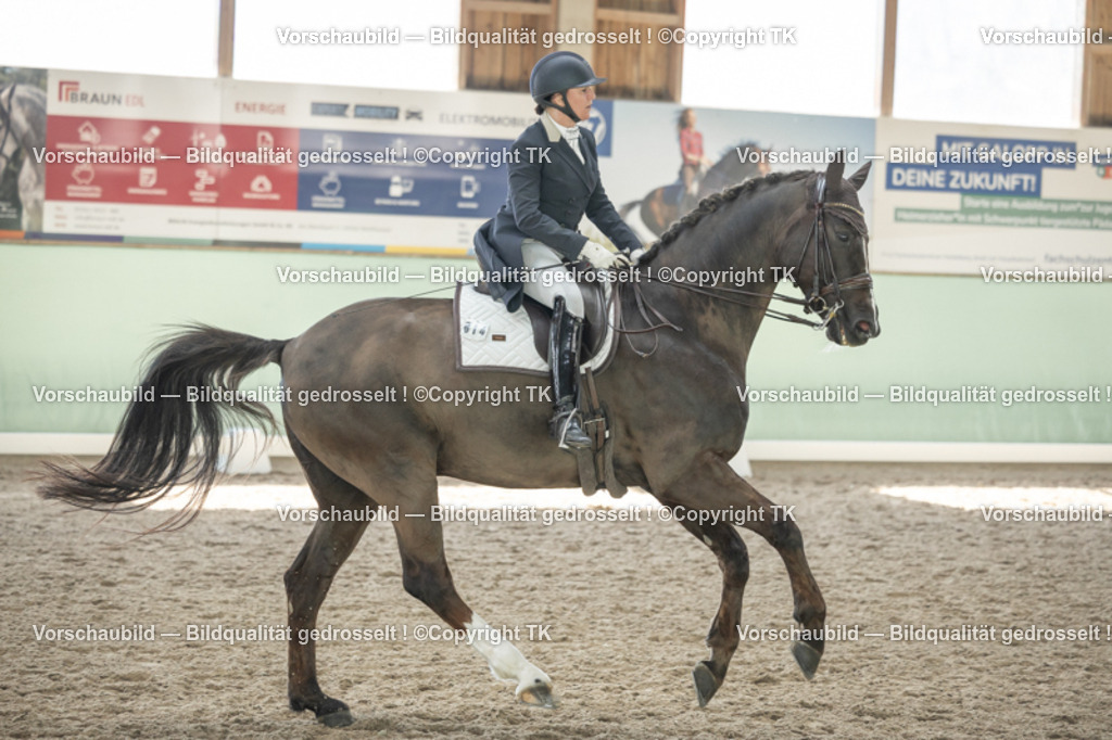 _D5A1864 | Emotionale Pferde- & People-Fotografie rund um Heidelberg, Leimen & Umgebung. Natürliche Fotos von Pferd, Mensch & Familie. Jetzt Termin sichern!