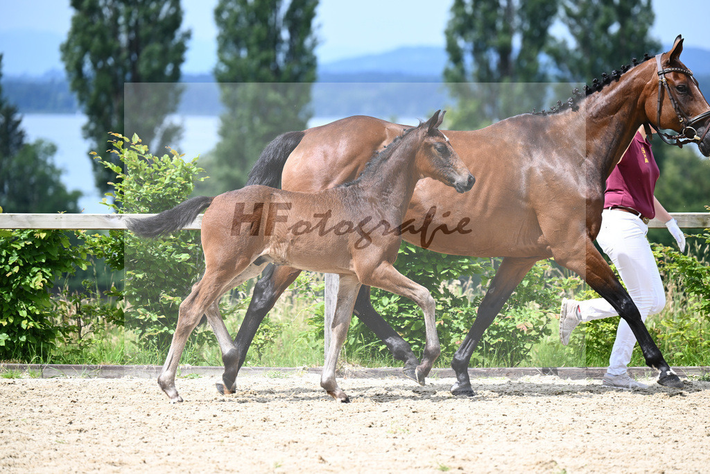 Vangelis x Brentano II_HF_Schmid_19240212 | hf-fotografie - Realisiert mit Pictrs.com