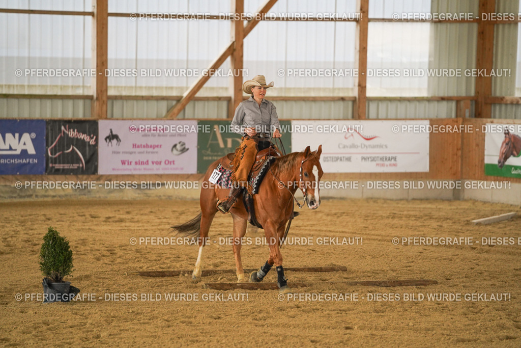 DSC04564 | Pferdegrafie