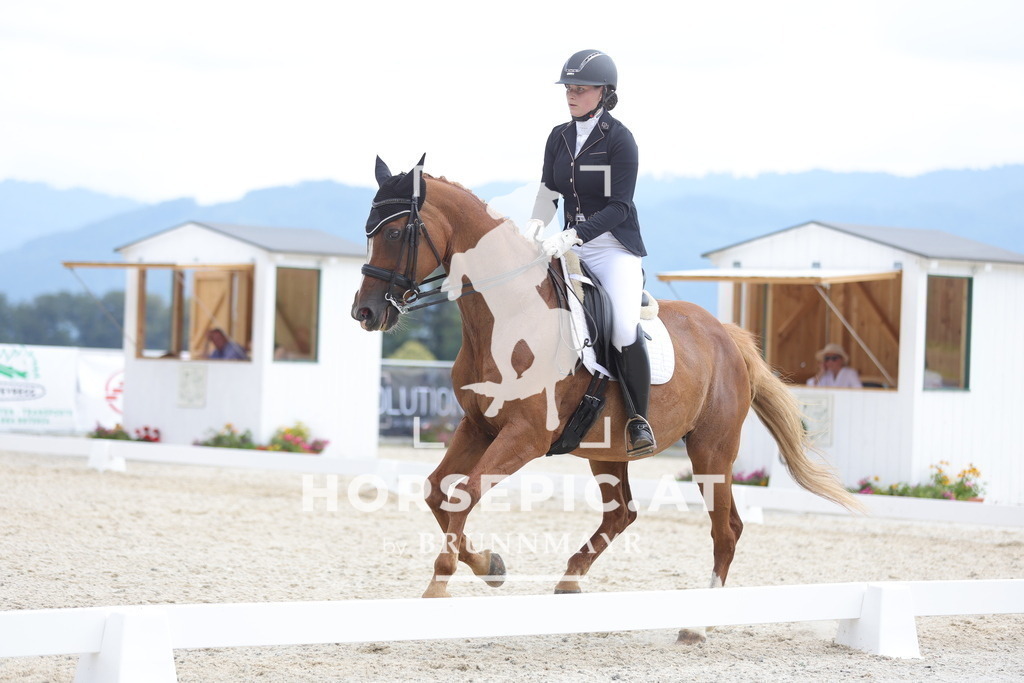 0P6A4961 | Willkommen bei Brunnmayr - Design & Fotografie – Ihrem Spezialisten für Reitturniere und Pferdeveranstaltungen in Oberösterreich, Salzburg und Bayern! Seit über 17 Jahren sind wir leidenschaftlich dabei.