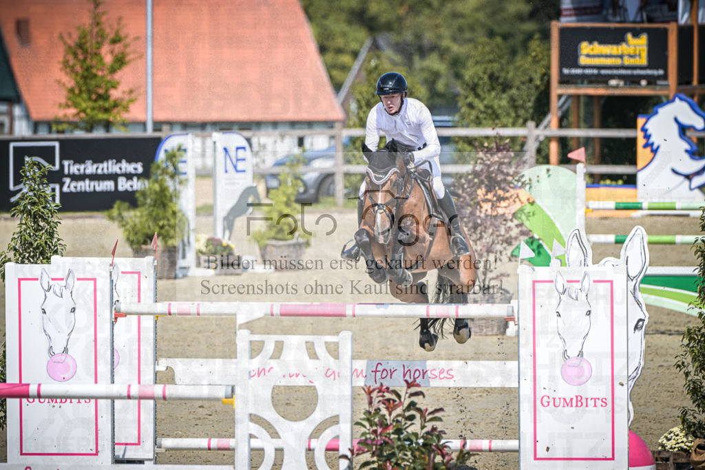 DOS_1268 | Entdecke hochwertige Reitturnierfotos von Foto Oger. Professionell, emotional und authentisch – jetzt Lieblingsmomente im Shop bestellen.Deutschlandweite Turnierfotografie. - Realisiert mit Pictrs.com
