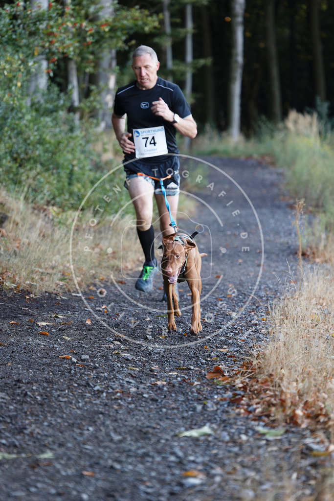 0L8A2007 | Hundefotografie, Tierfotograf, Pfotenfotografie, Fotoshooting Hund, Hunde Portrait, Hundesport, Hundeportraits, Heideshooting, Hunde, Sportfotograf, Hundefotograf, Turnierhundsport, THS,  - Realisiert mit Pictrs.com