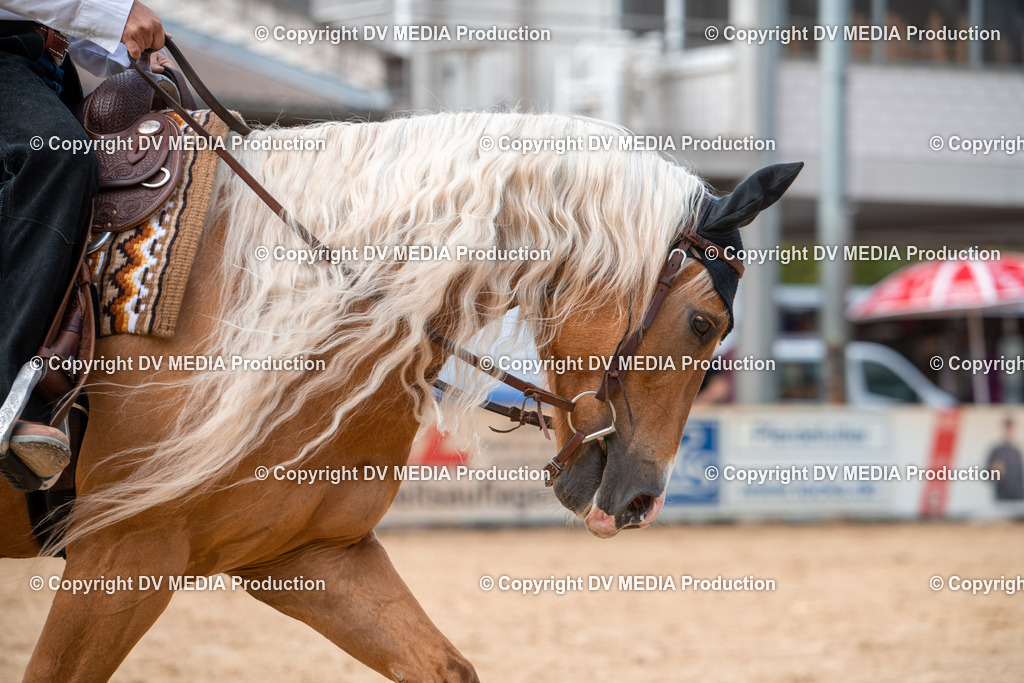 EWP_5638 | dv-media-shop - Realisiert mit Pictrs.com