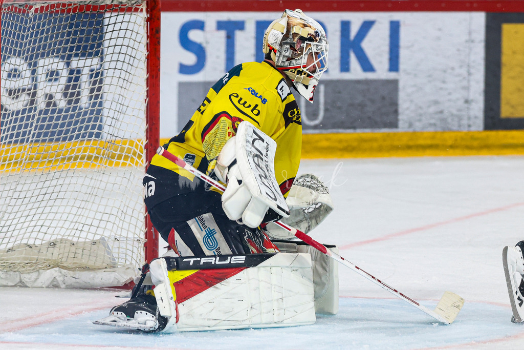 EHCB vs SCB 20260312_wb-4346 | Sportbilder, Sportfotograf, Hochzeits- und Eventfotografin, Flugshows, Portraits und Tiershooting, Aviation, Downhill, Nationalleague, Swissleague, International