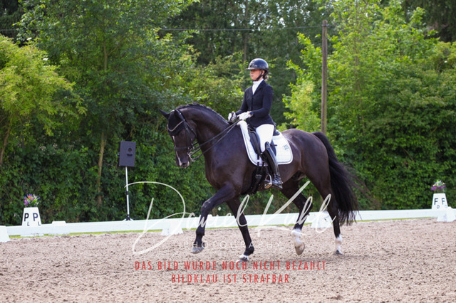 DKP41117 | Turnierfotos kaufen im Webshop von Daniel Kuhl Photography – entdecke professionelle Reitsportfotos aus Turnieren & Events. Hochwertige Turnierbilder online bestellen & sichern. Jetzt Fotos von Reitsportturnieren kaufen!