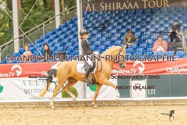 28-8-26 5j DRE-645 | mandyhollmannphotographie