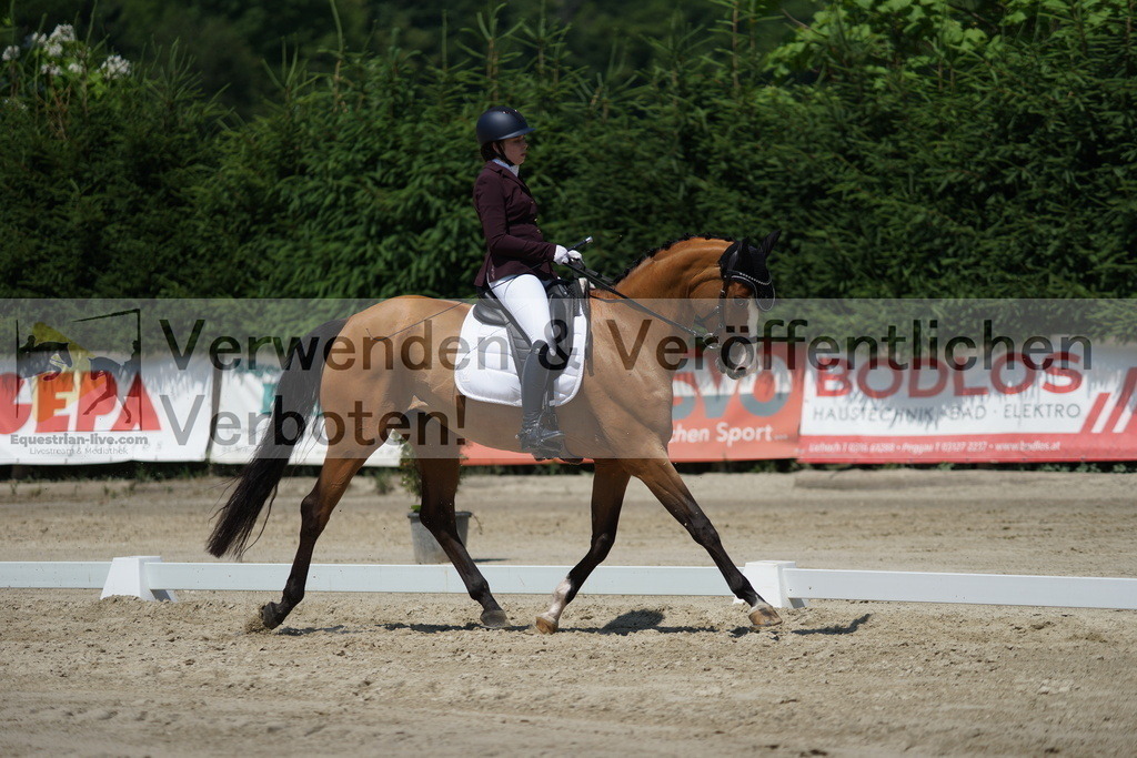 DSC01757 | equestrian-live-com
