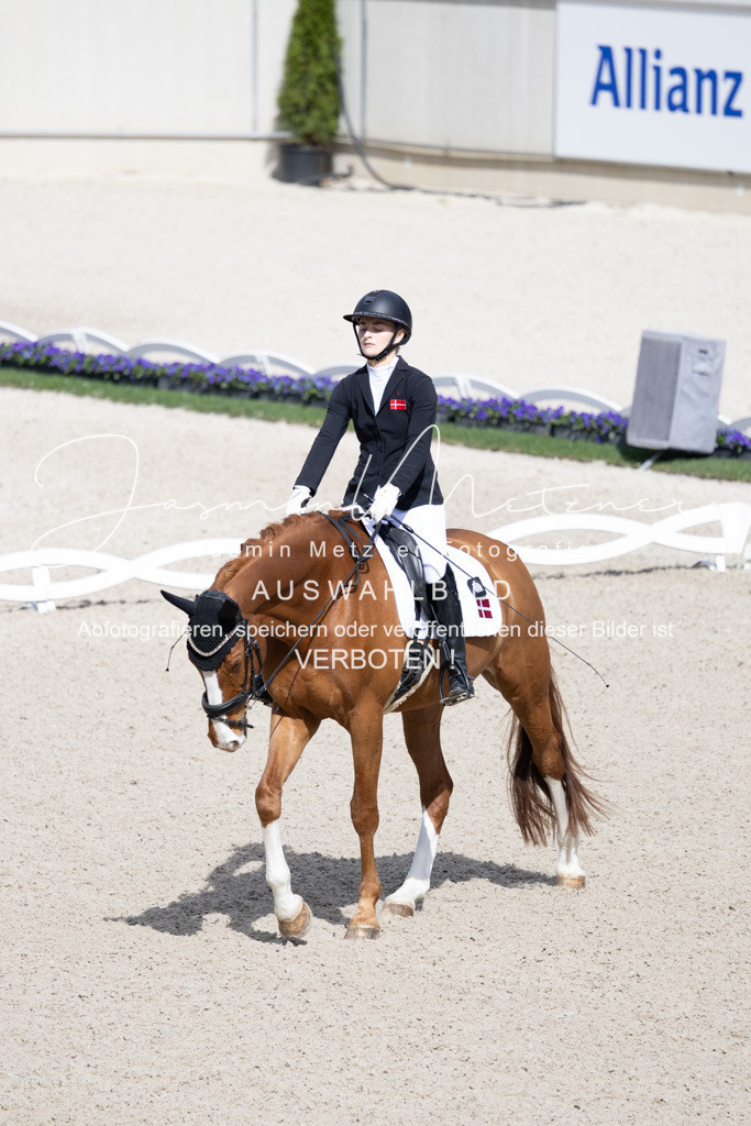 126A0271 | jasminmetznerfotografie