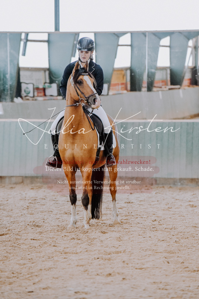DSC_7625 | Pferde- und Turnierfotografie in Westsachsen. Pferdeportraits, Auftragszeichnungen und intuitive Kunst.