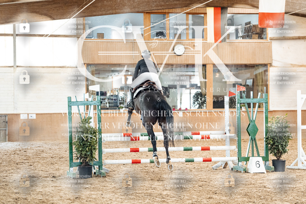 CK904181 | Turnierfotografie Pferdefotografie Trier Rheinland-Pfalz Pferdesport Reitsport Tierfotografie Sportfotografie Pferdevideo Pferdevideografie Equestrianvideography equestrianphotography  - Realisiert mit Pictrs.com