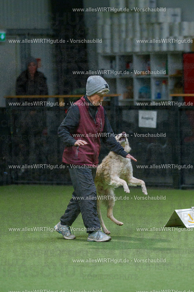 7R508033 | Professionelle Tierfotografie in Mönchengladbach von Daniel Wirth (allesWIRTHgut). Liebevolle & natürliche Bilder von Hunden & Katzen für unvergessliche Erinnerungen.