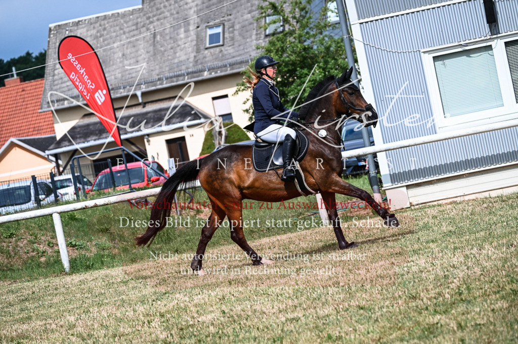 DSC_8247 | Pferde- und Turnierfotografie in Westsachsen. Pferdeportraits, Auftragszeichnungen und intuitive Kunst.
