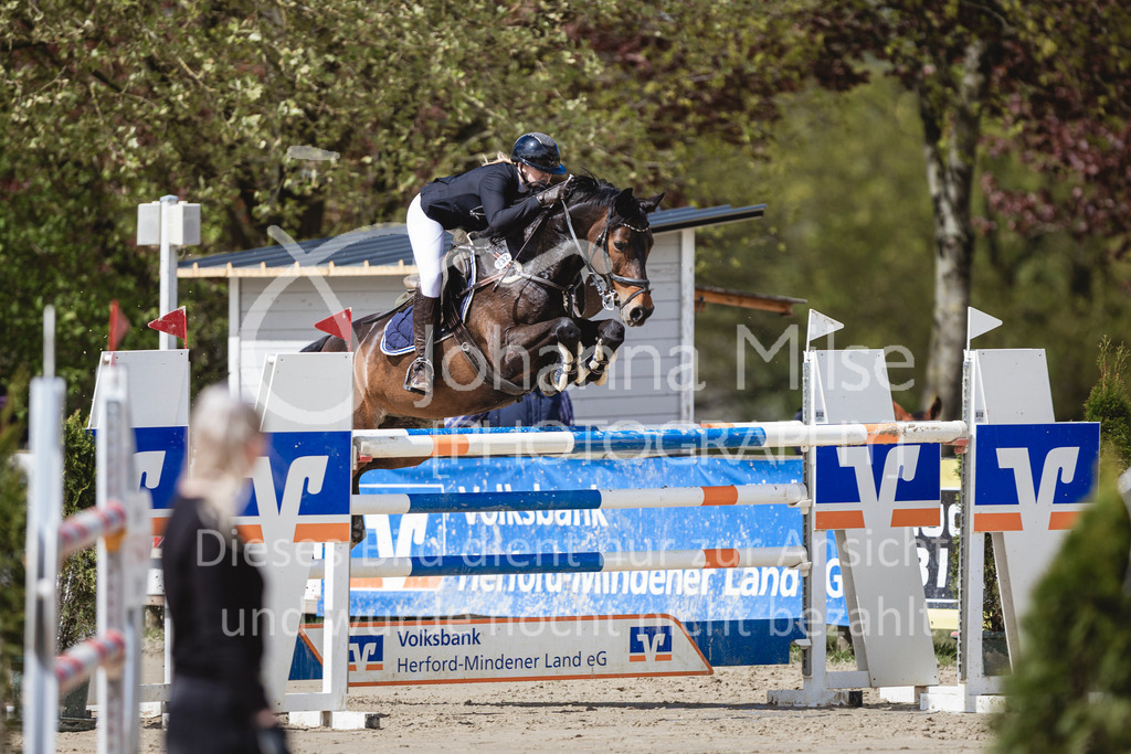 240428_Spenge_M2-Spr-125 | Deine schönsten Turniermomente als professionelle Fotos! Entdecke hochwertige Pferdesport-Fotografie im Online-Shop. Jetzt Fotos finden & bestellen!