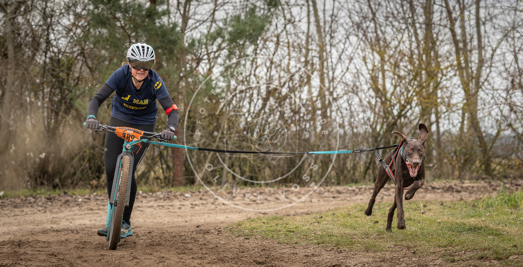 Pfotenfotografie_DV3A9675 | Hundefotografie, Tierfotograf, Pfotenfotografie, Fotoshooting Hund, Hunde Portrait, Hundesport, Hundeportraits, Heideshooting, Hunde, Sportfotograf, Hundefotograf, Turnierhundsport, THS,  - Realisiert mit Pictrs.com