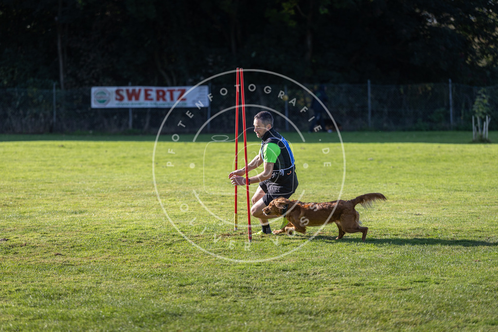 Pfotenfotografie.de_DV3A3424 | Hundefotografie, Tierfotograf, Pfotenfotografie, Fotoshooting Hund, Hunde Portrait, Hundesport, Hundeportraits, Heideshooting, Hunde, Sportfotograf, Hundefotograf, Turnierhundsport, THS, canicross - Realisiert mit Pictrs.com