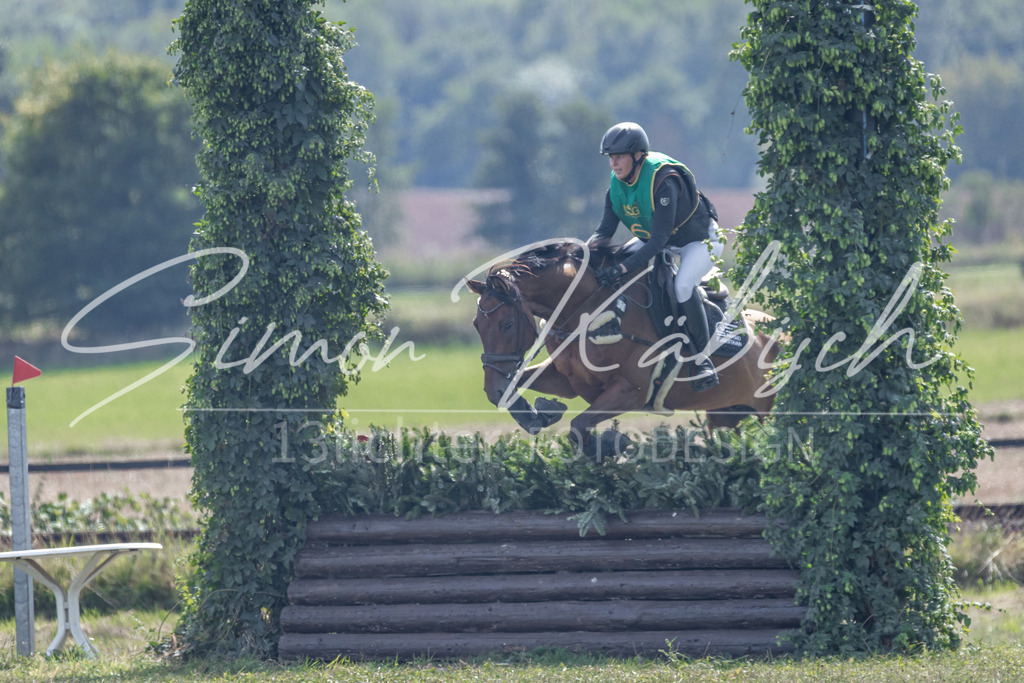 20250907-_3LR7931 | Tierfotografie Pferde, Hunde, Katzen, Haustiere.
Turnierfotografie Reitturniere, Reiten, Springreiten, Dressur in Hanau, dem Main-Kinzig-Kreis und dem Rhein-Main- Gebiet um Frankfurt