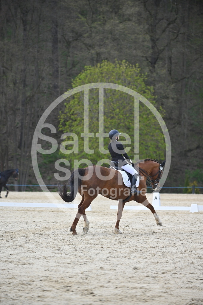 DSC_4827 | sattelsport - Realisiert mit Pictrs.com