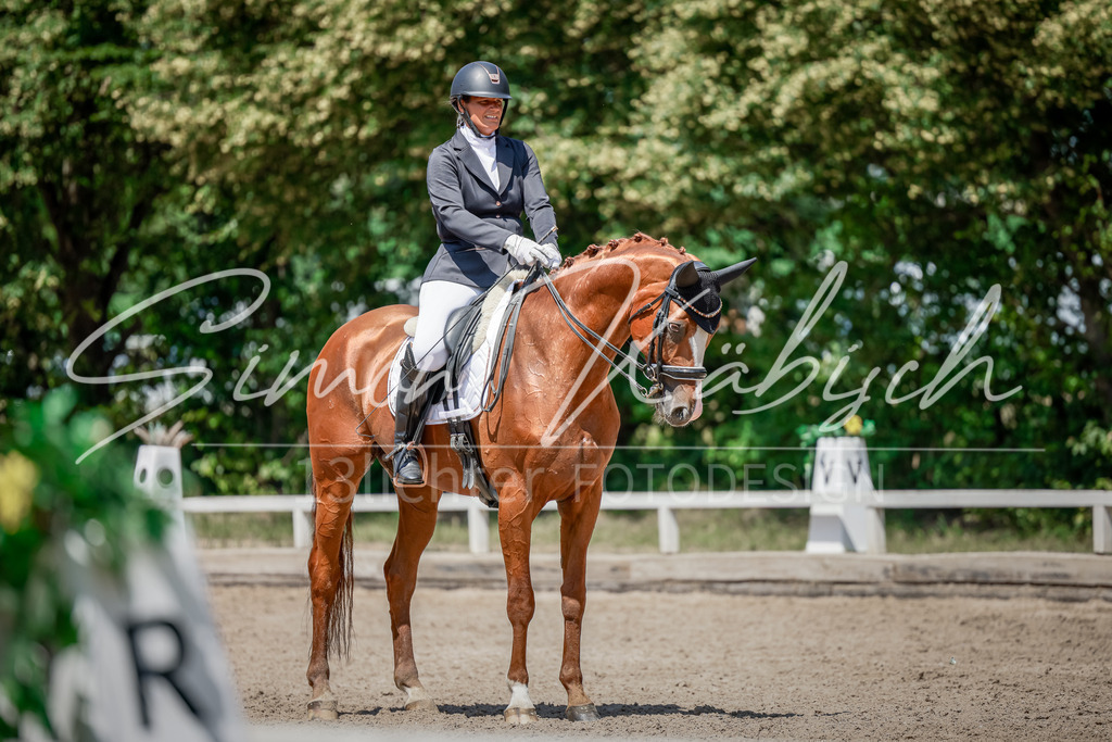 20250621-_3LI8431 | Tierfotografie Pferde, Hunde, Katzen, Haustiere.
Turnierfotografie Reitturniere, Reiten, Springreiten, Dressur in Hanau, dem Main-Kinzig-Kreis und dem Rhein-Main- Gebiet um Frankfurt