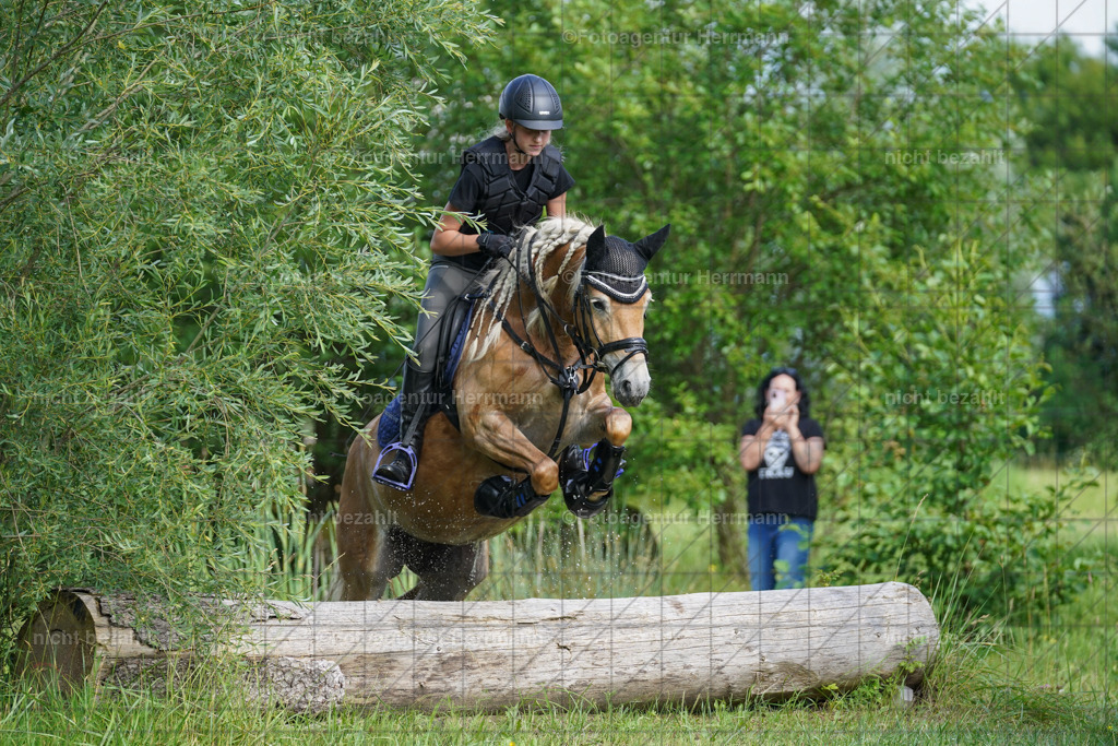 20240622-FAH08125 | Turnierfotografen Bayern, Reitsportbilder aus dem Geländekurs mit Felix Etzel auf dem Gut Waitzacker 2024