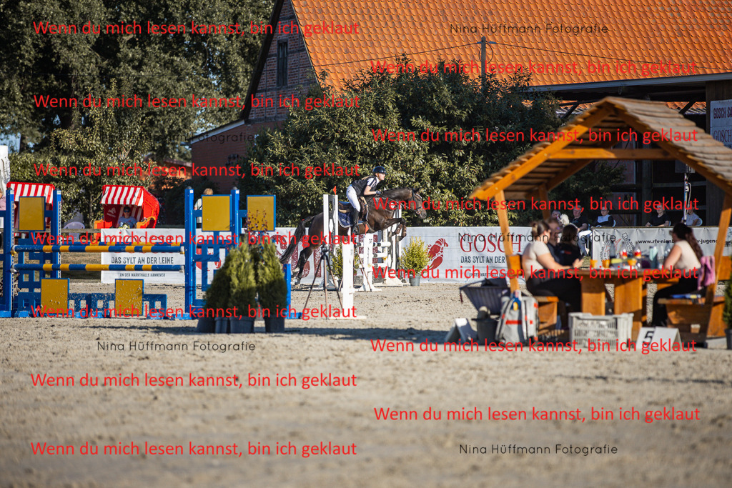 BK1A7872 | Turnierbilder Turnierfotos Nina Hüffmann Turnierfotografie Pferdefotografie Tierzeichnung Haustierzeichnung Pferdezeichnung Hundezeichnung Videograf  - Realisiert mit Pictrs.com